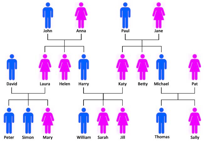 family tree